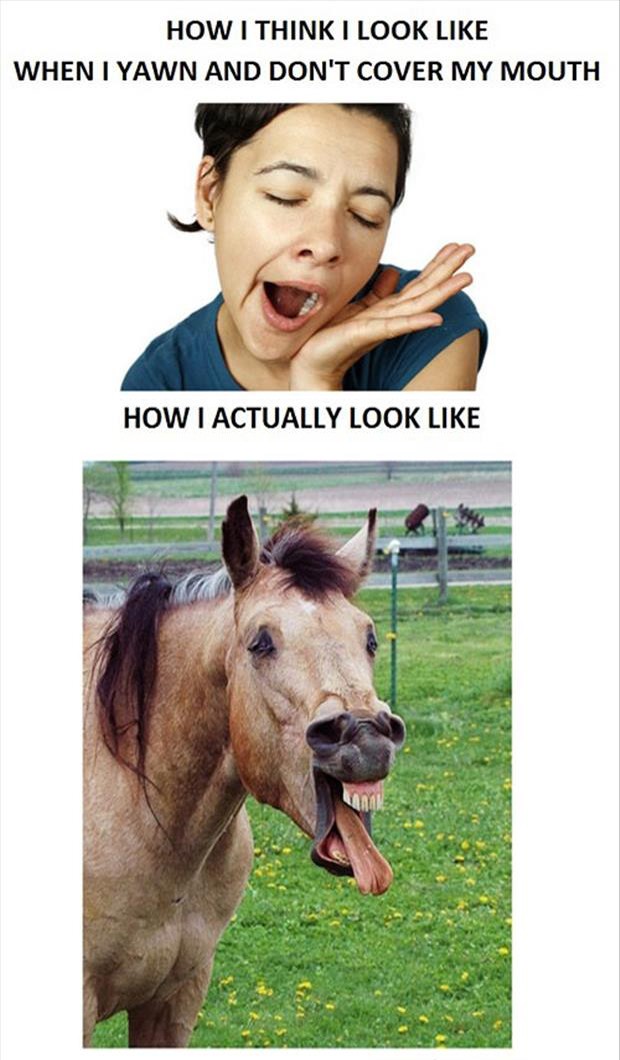 How I Think I Look When I Yawn - Funny pictures