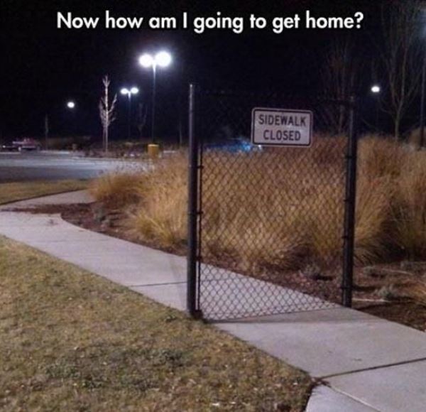 Now How Am I Going To Get Home? - Funny pictures