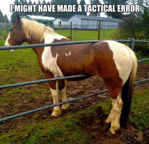 Tactical Error - Funny pictures