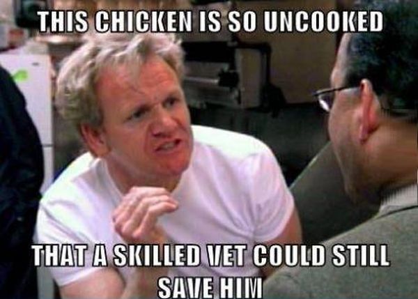 This Chicken Is So Uncooked... - Funny pictures
