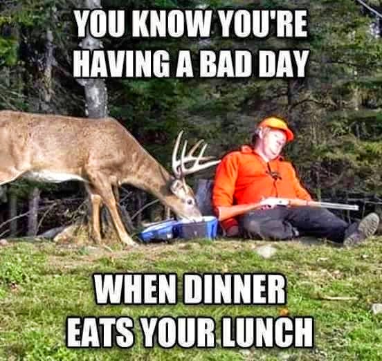 You Know You're Having A Bad Day - Funny pictures