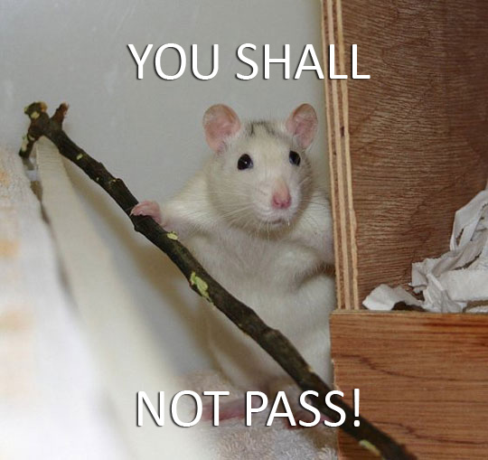 You Shall Not Pass - Funny pictures