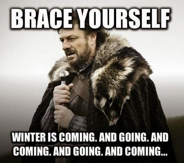 Brace Yourself - Funny pictures