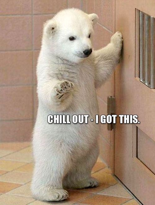Chill Out - Funny pictures