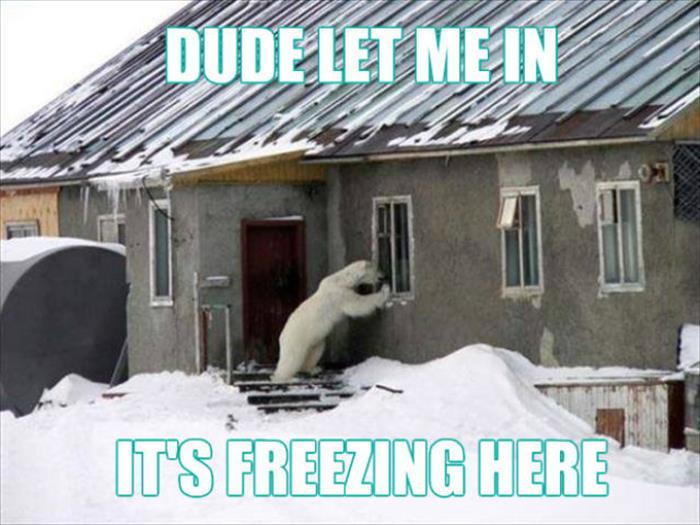 Dude Let Me In - Funny pictures