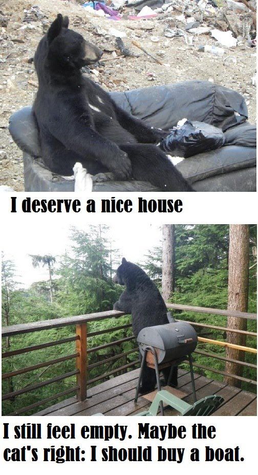 I Deserve A Nice House... - Funny pictures