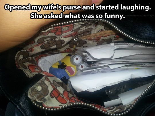 Opened Wife's Purse And Started Laughing - Funny pictures