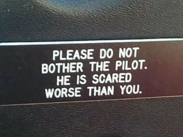 Please Don't Bother The Pilot - Funny pictures