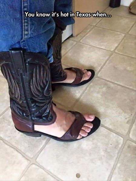 You Know It's Hot In Texas When... - Funny pictures