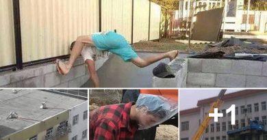 Funny Pictures Of The Day - Safety At Work 5 Pics