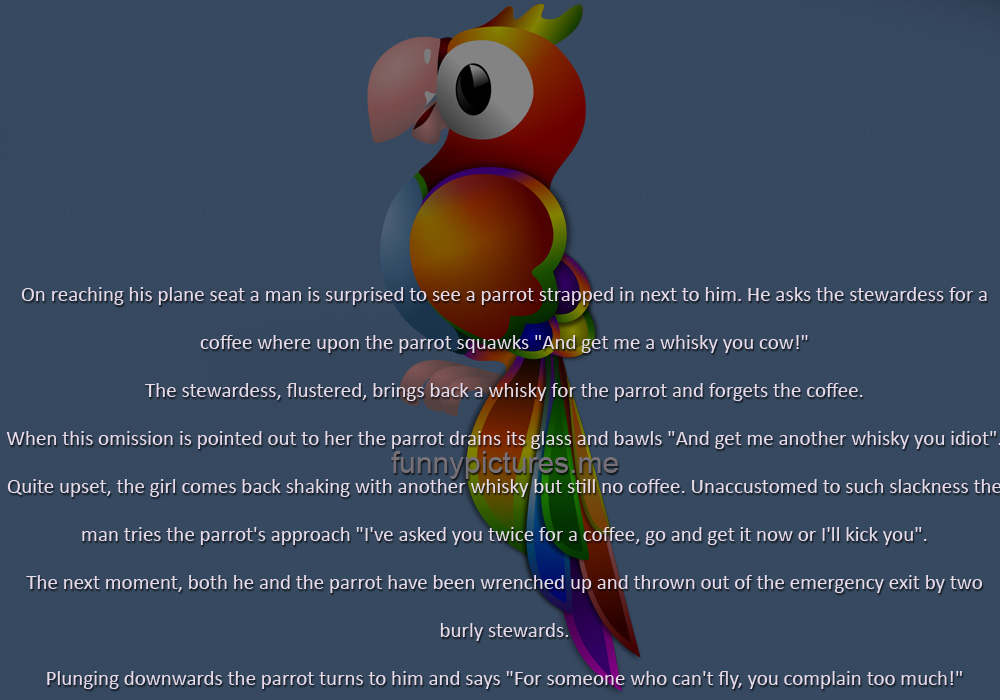 A Parrot On The Plane - Funny pictures