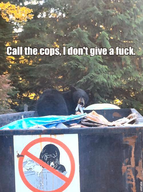 Call The Cops - Funny pictures