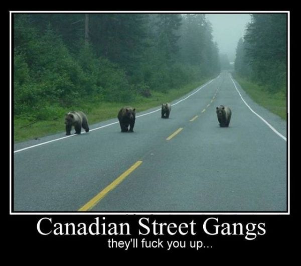 Canadian Street Gangs - Funny pictures