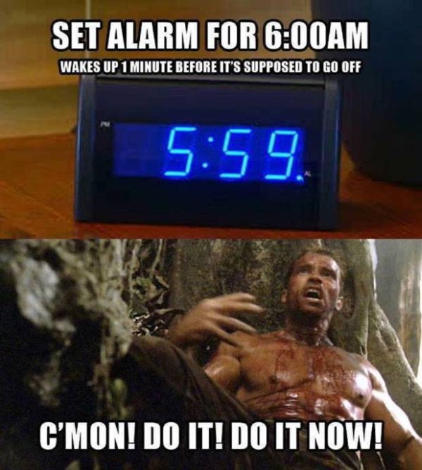 Every Single Morning - Funny pictures