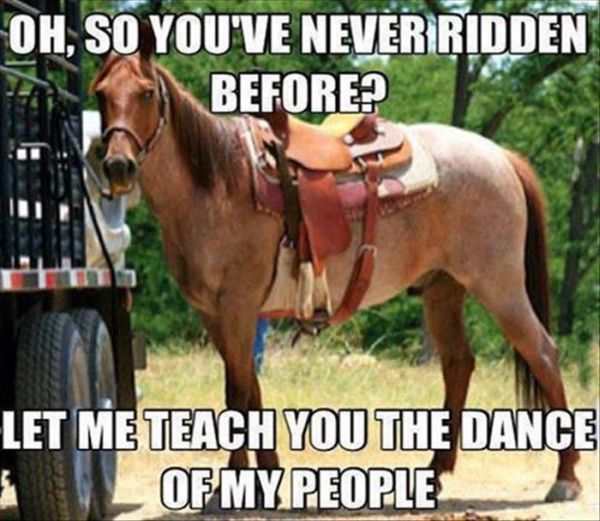 So You've Never Ridden Before? - Funny pictures