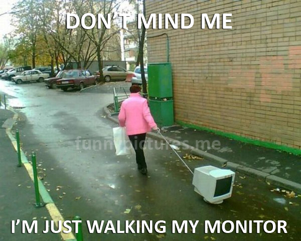 Don't Mind Me... - Funny pictures
