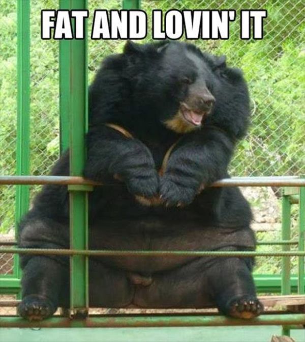 Fat And Lovin' It - Funny pictures