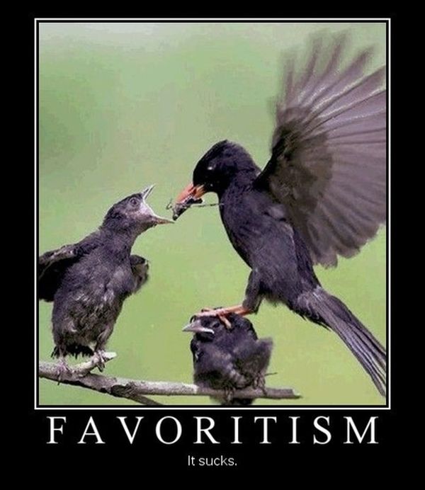 Favoritism - Funny pictures