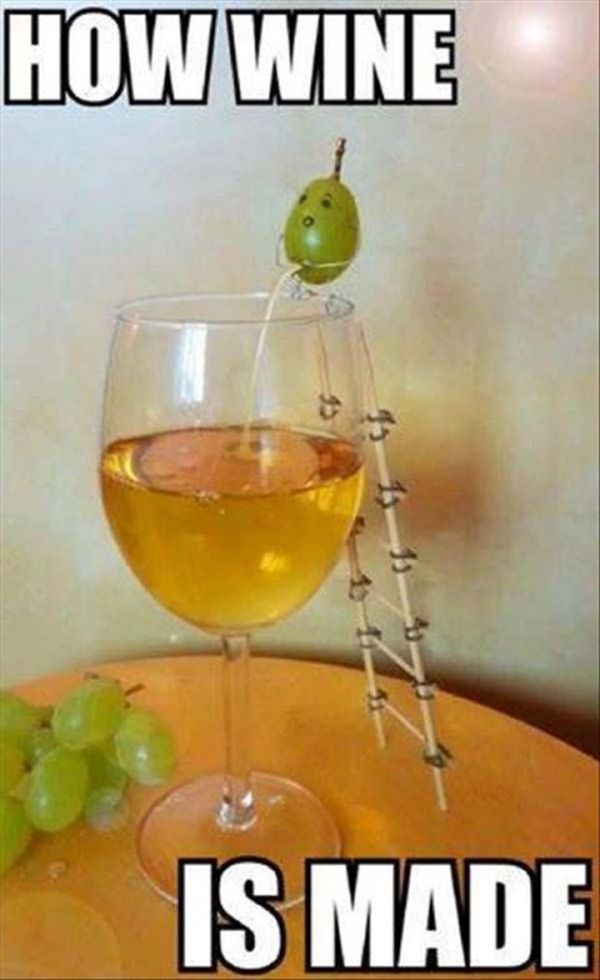 How Wine Is Made - Funny pictures