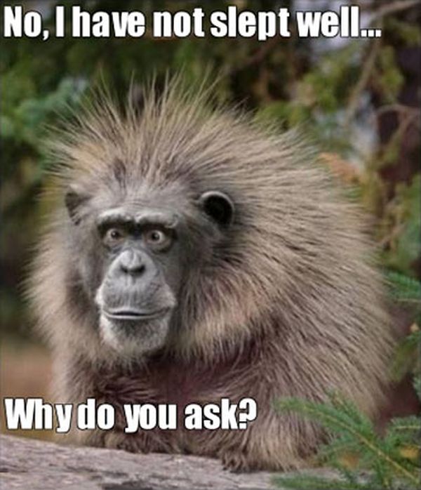Why Do You Ask? - Funny pictures