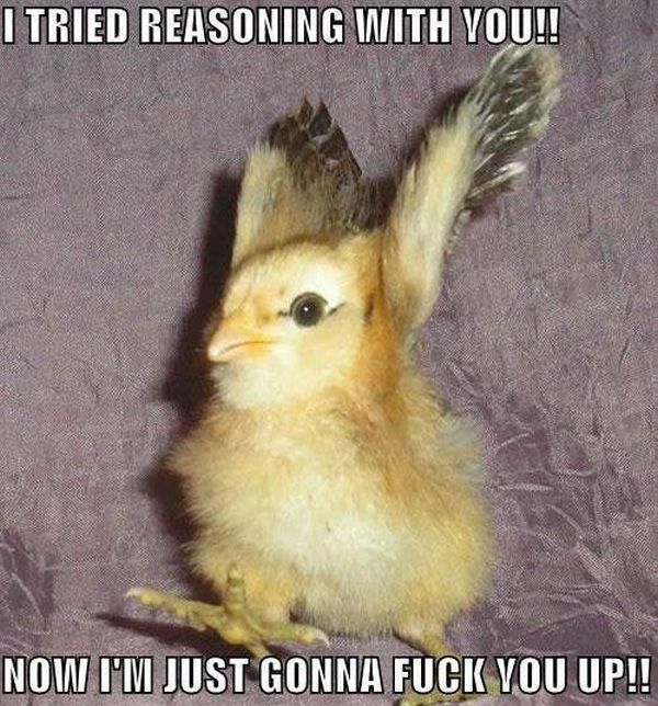 I Tried Reasoning With You - Funny pictures