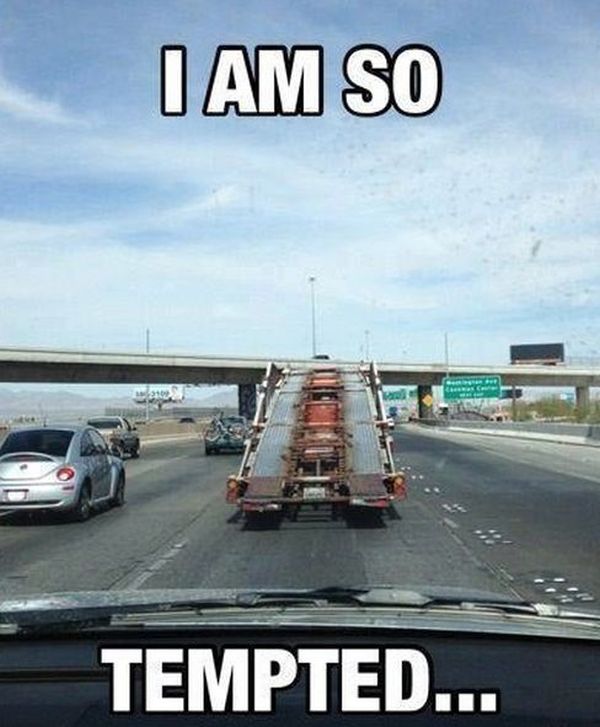I Am So Tempted - Funny pictures