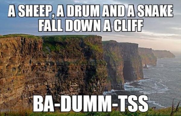 A Sheep, A Drum And A Snake Fall Down A Cliff - Funny pictures