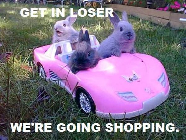 Get In Looser - Funny pictures