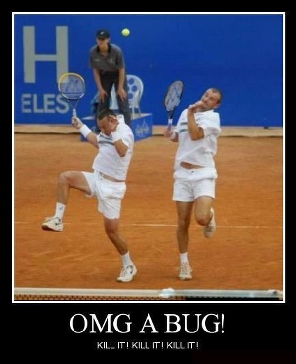 OMG A Bug! - Funny pictures
