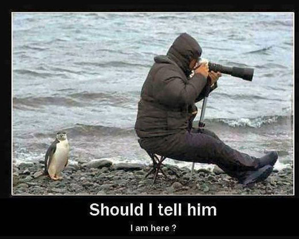 Should I Tell Him? - Funny pictures