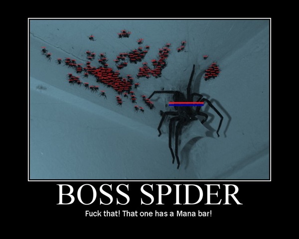 Boss Spider - Funny pictures
