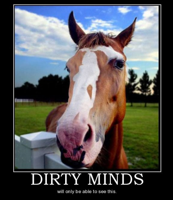 Dirty Minds - Funny pictures
