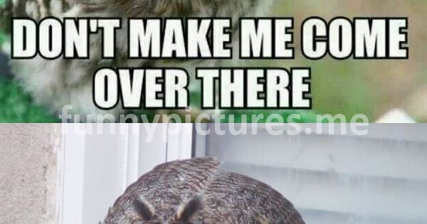 Don't Make Me Come Over There - Funny Pictures