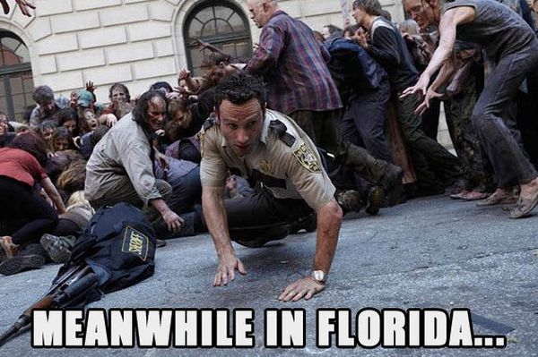 Meanwhile In Florida - Funny pictures