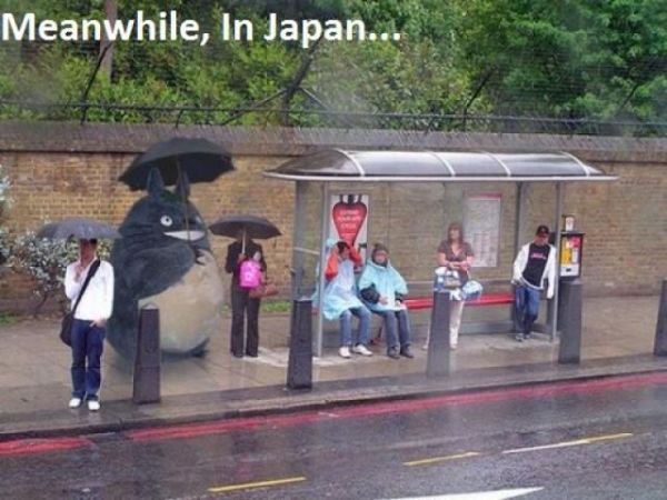 Meanwhile In Japan - Funny pictures