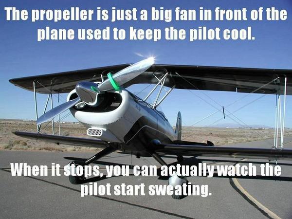 The Propeller Is Just A Big Fan - Funny pictures
