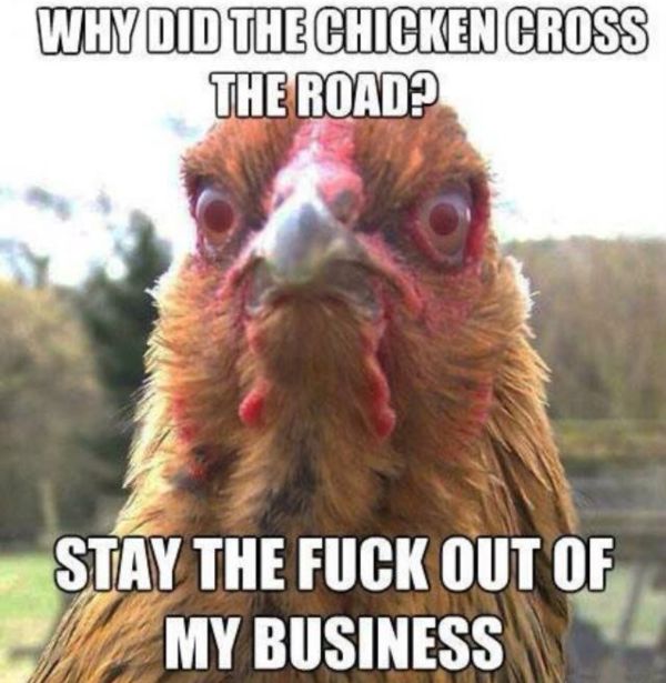 Why Did The Chicken Cross The Road? - Funny pictures