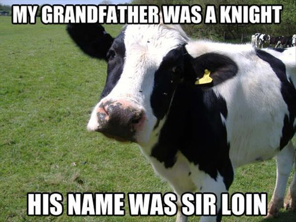 My Grandfather Was A Knight - Funny pictures