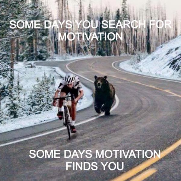 Motivation... - Funny pictures