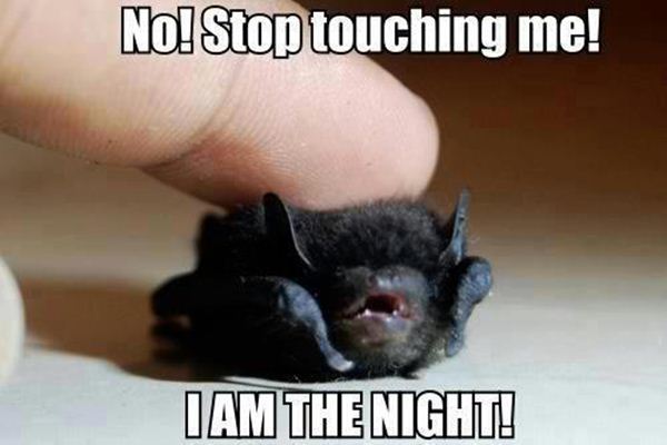 No! Stop Touching Me! - Funny pictures