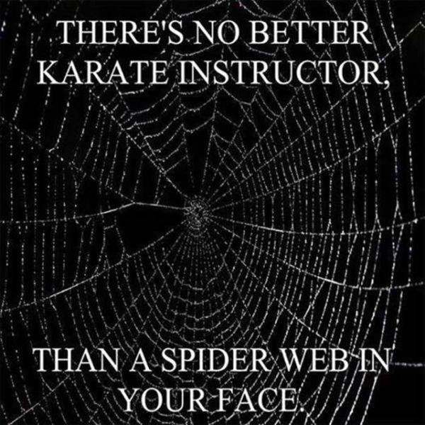 The Best Karate Instructor - Funny pictures