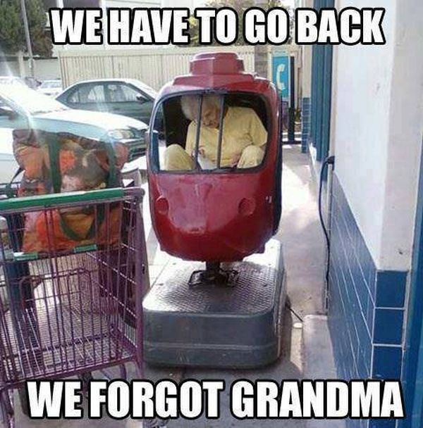 We Have To Go Back - Funny pictures