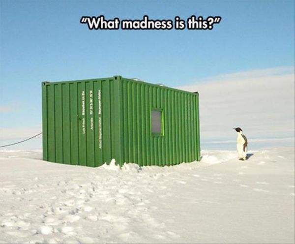 What Madness Is This? - Funny pictures
