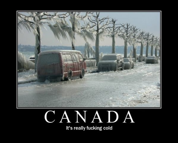 Move To Canada They Said
