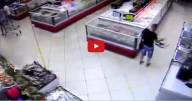 Fish Jumps Right Into Man s Grocery Basket